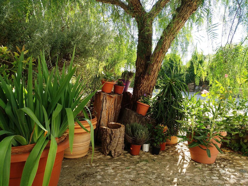 Casa Con Encanto En Alájar Zewnętrze zdjęcie