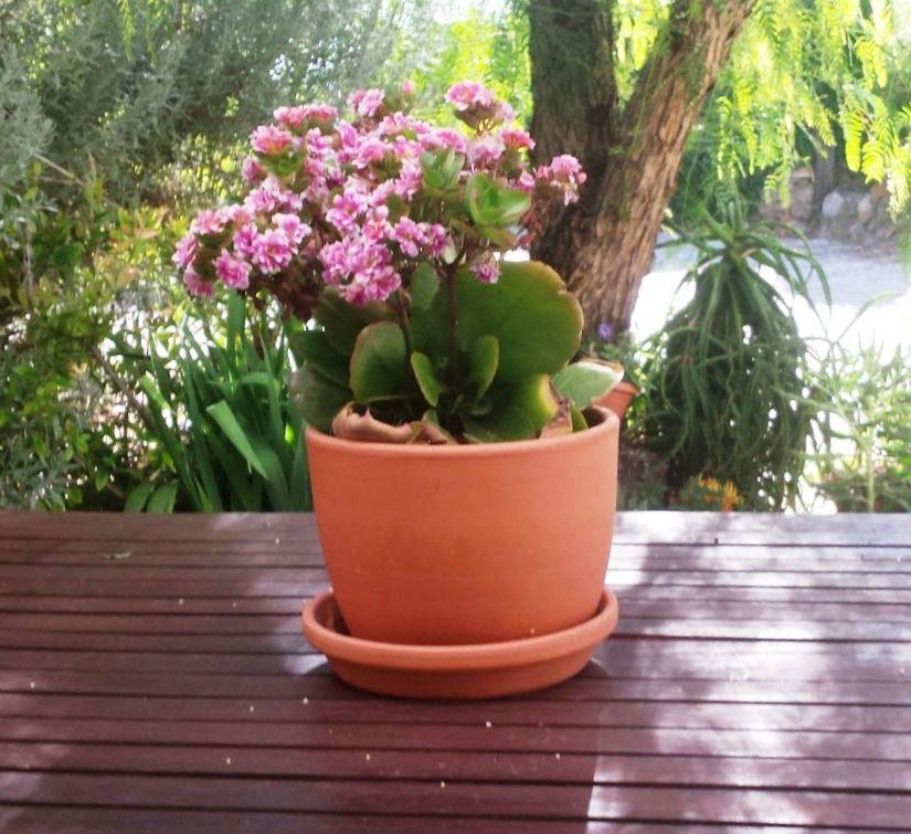 Casa Con Encanto En Alájar Zewnętrze zdjęcie